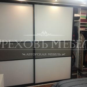 Шкаф купе со стеклом