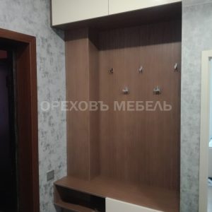 Шкаф в прихожую с распашными дверьми