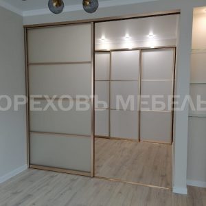 Шкаф купе в стекле мателюкс
