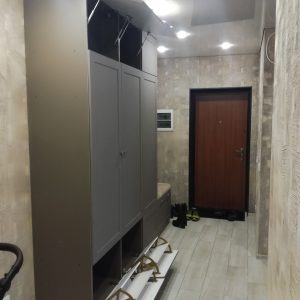 Распашной шкаф в прихожую в сером цвете